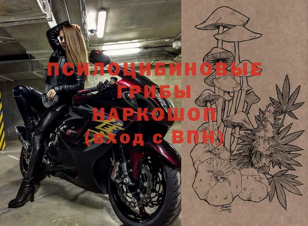 jwh Ельня