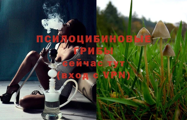 шишки Елабуга