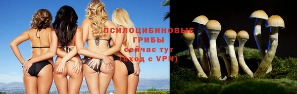 гидропоника Елизово