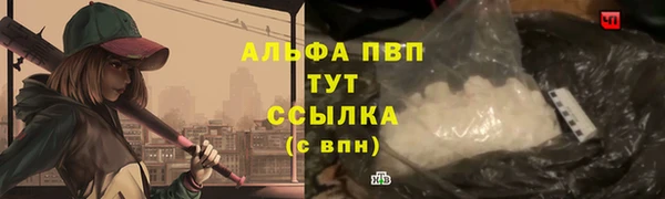 шишки Елабуга
