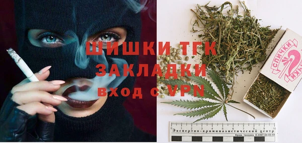 шишки Елабуга