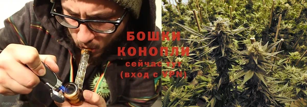 шишки Елабуга