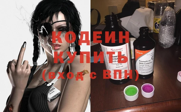 шишки Елабуга