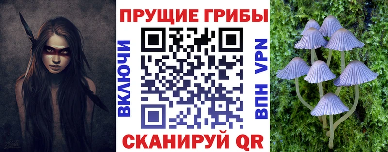 Купить  Краснокамск  Псилоцибиновые грибы MAGIC MUSHROOMS 